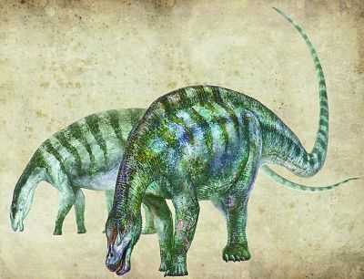 “神奇灵武龙”恐龙化石，被中国科学家发现（图）